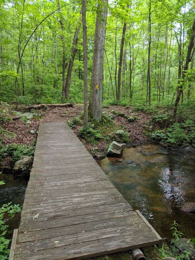 Wildlife And Nature Throughout Every Season