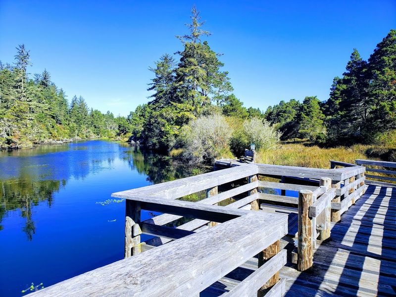 A Coastal Escape Surrounded By Dunes And Forest