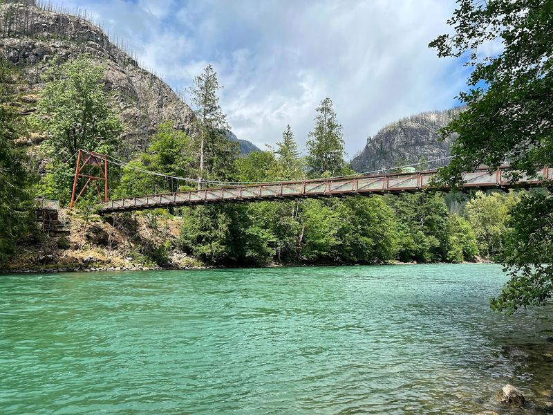 Wildlife And Plant Life Along The Skagit River Banks