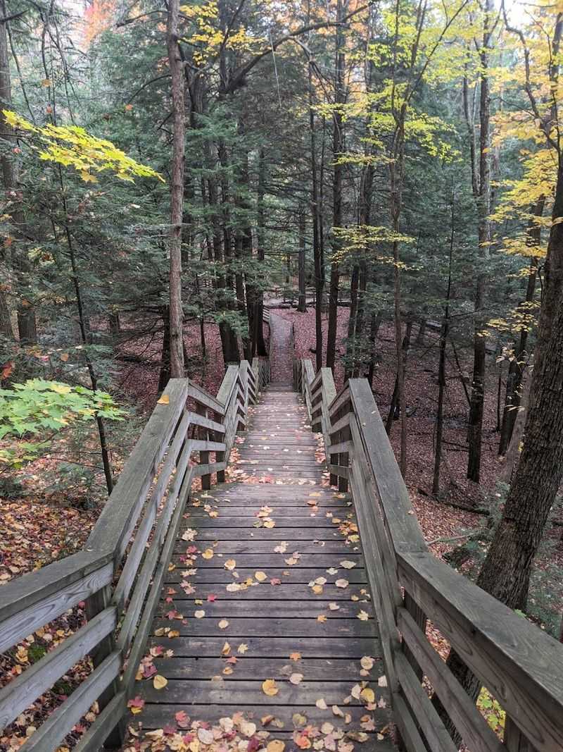 Logistics Along River Road