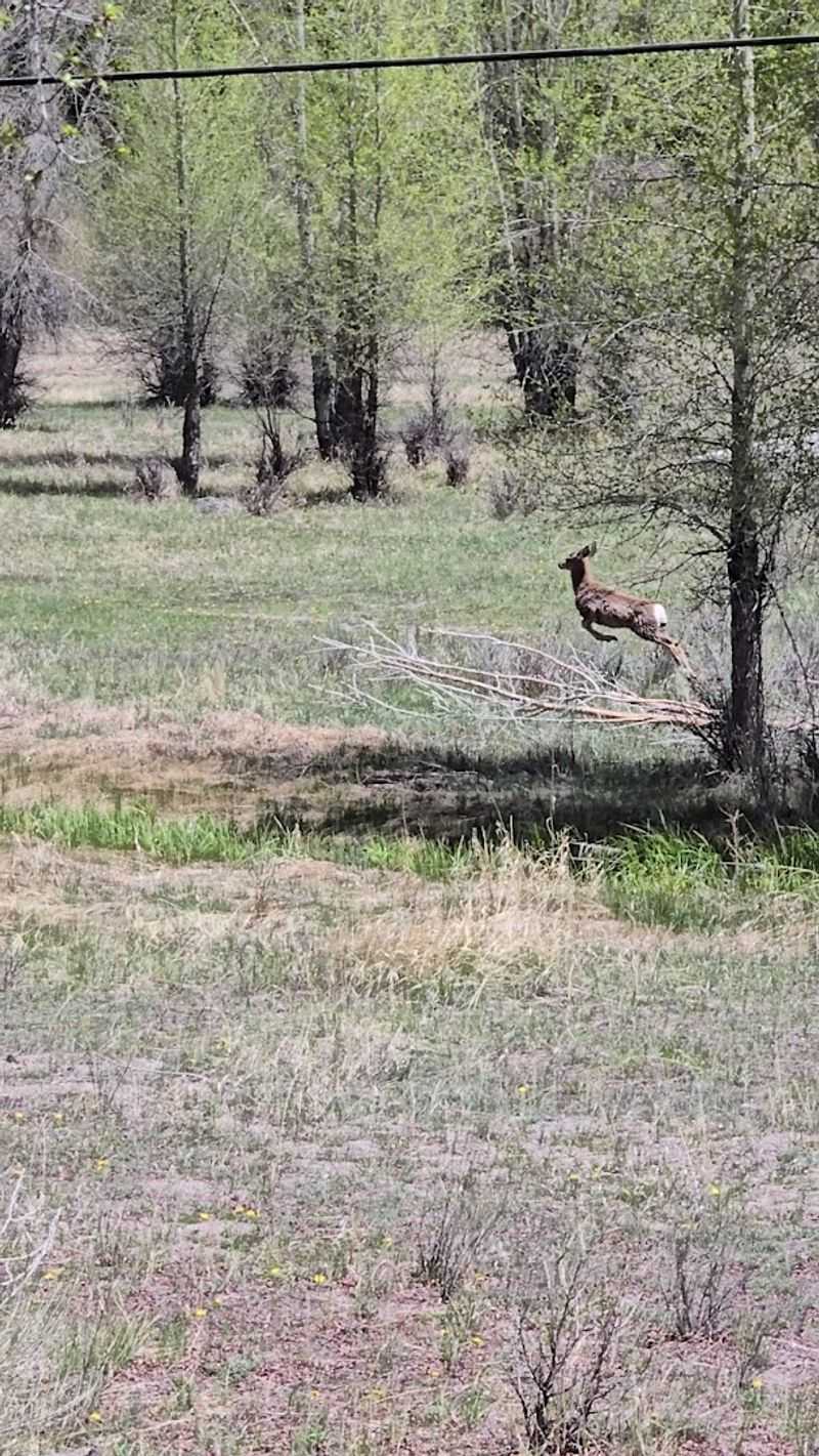 Wildlife And Viewpoints Along The Route