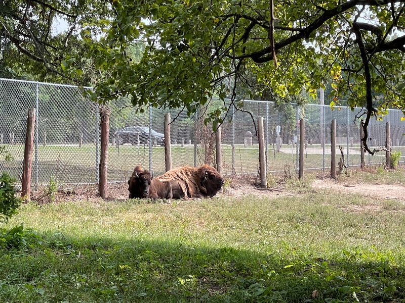 Weather, Safety, And Smart Packing