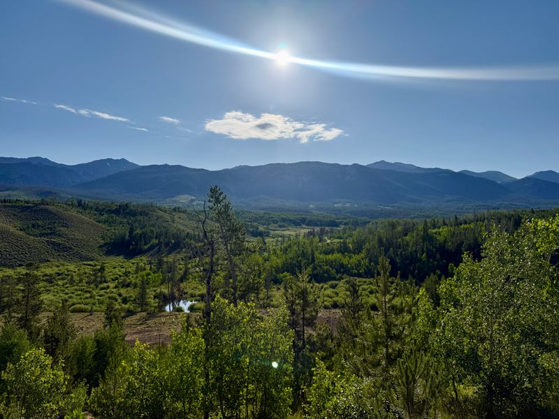 The Kind Of Solitude That's Nearly Extinct