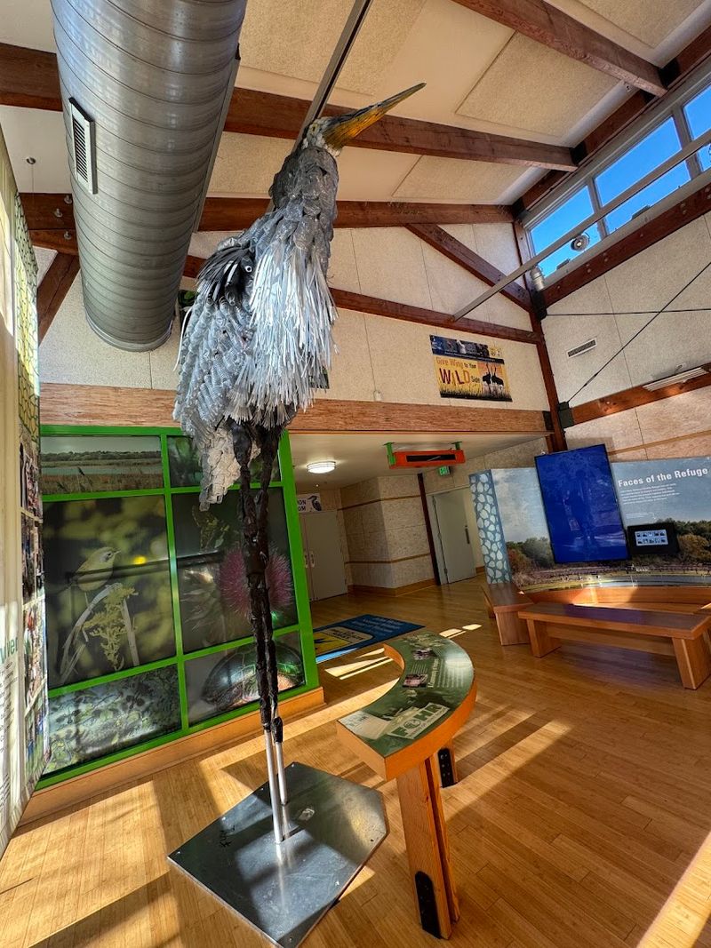 The Visitor Center Experience