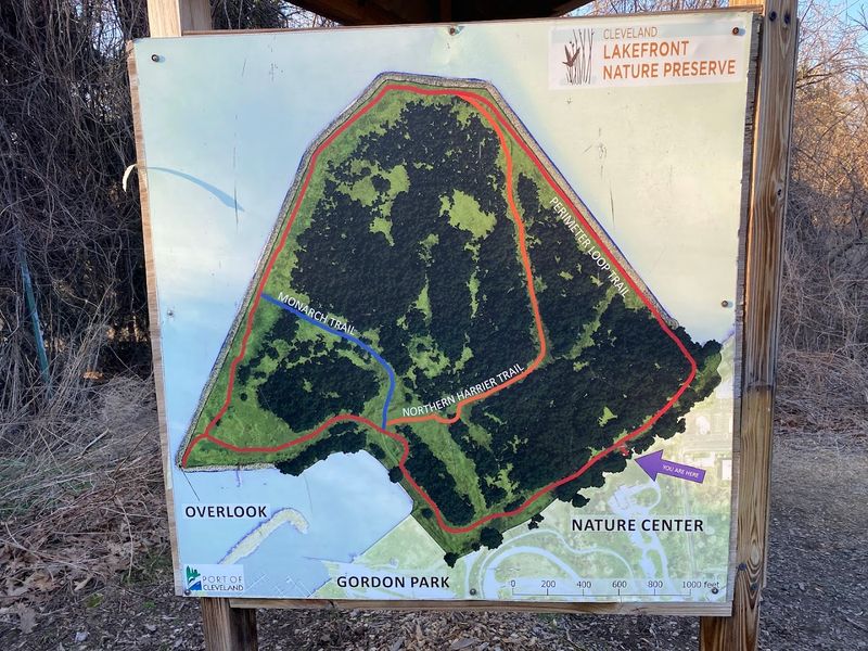 Practical Details Worth Knowing Before You Go