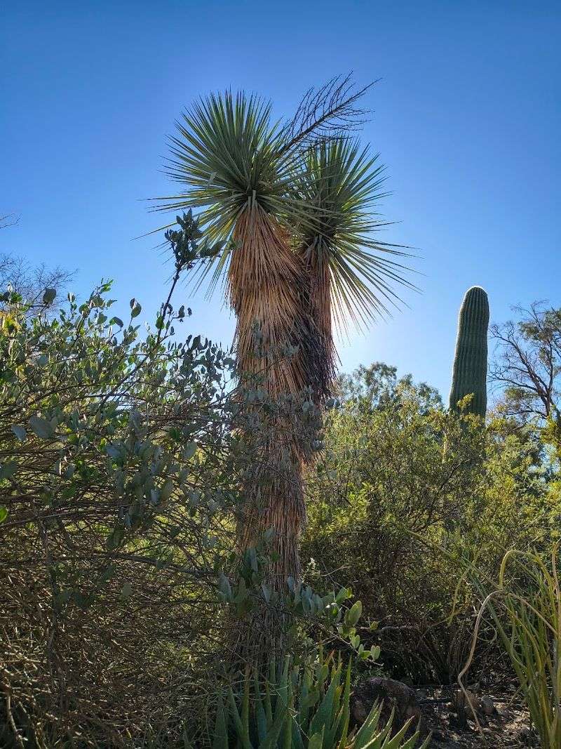 Photography, Families, And Making The Most Of Your Day