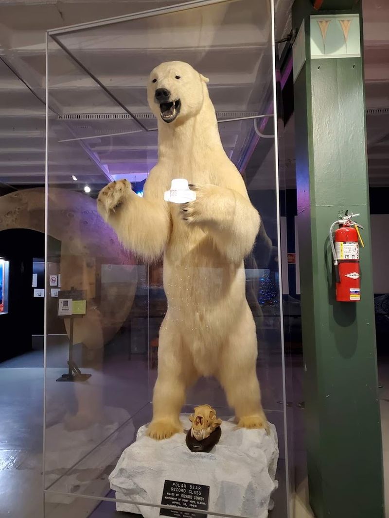 Wildlife Dioramas That Freeze Nature In Stunning Detail Wildlife Dioramas That Freeze Nature In Stunning Detail