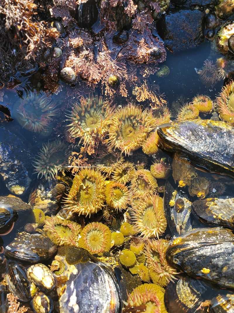 Wildlife Encounters Above and Below the Waves