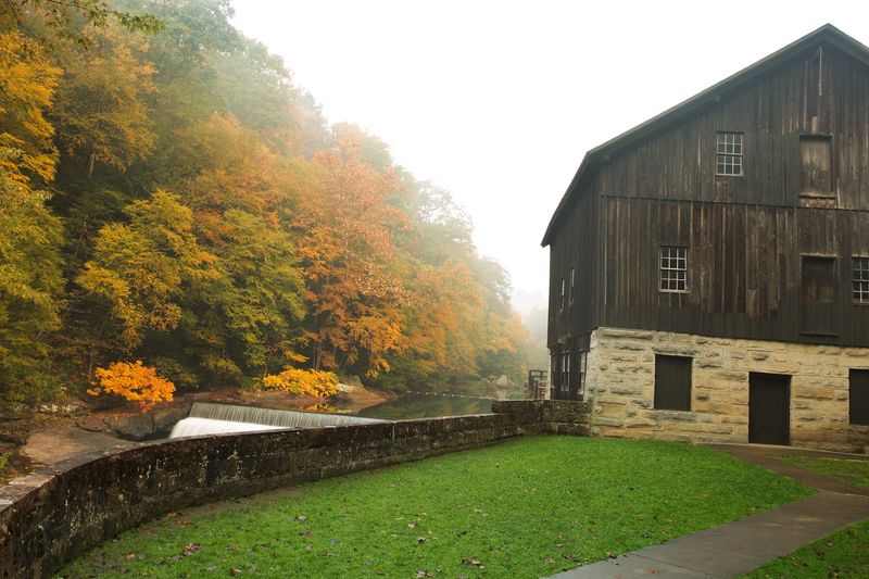 Fall Colors That Make the Drive Completely Worth It