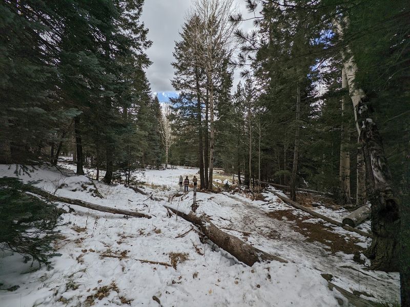 Difficulty, Terrain, And What To Expect On The Trail