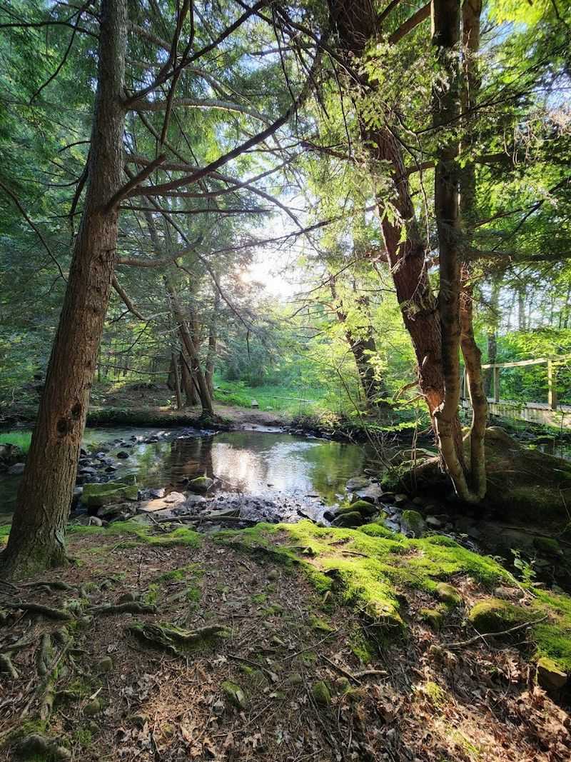 The Peaceful Atmosphere That Keeps People Returning