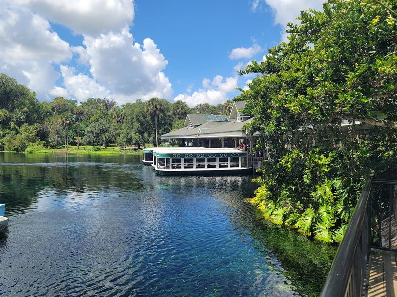 The Cafe, Gift Shop, And Visitor Amenities