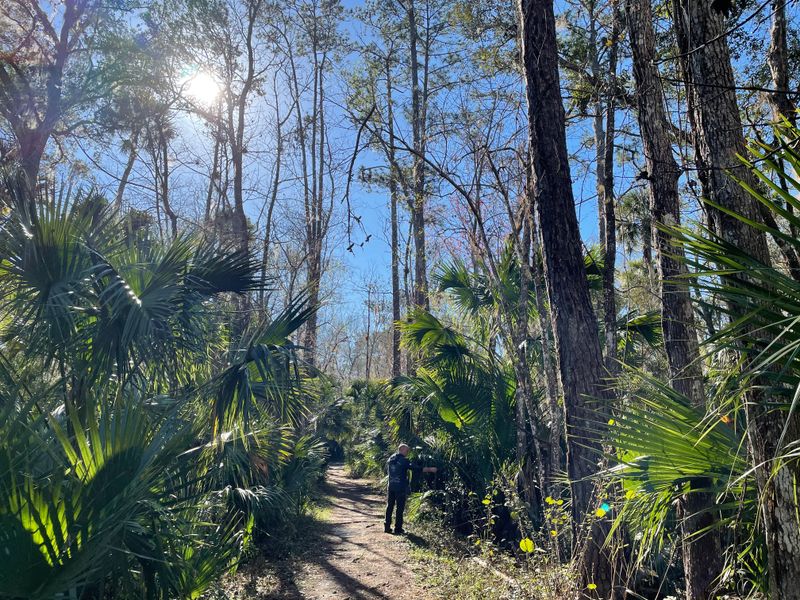 Best Times Of Year To Hike The Loop
