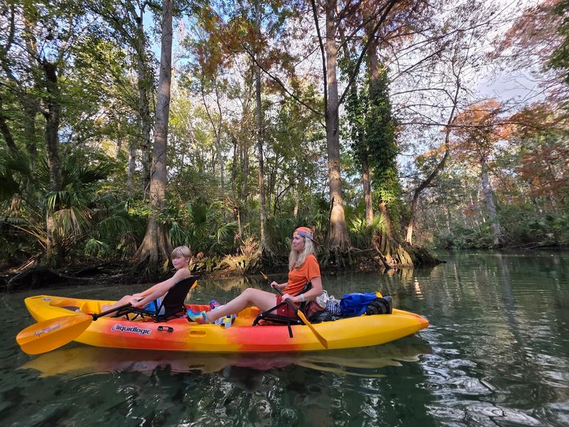 Wildlife Encounters Beyond The Mermaids