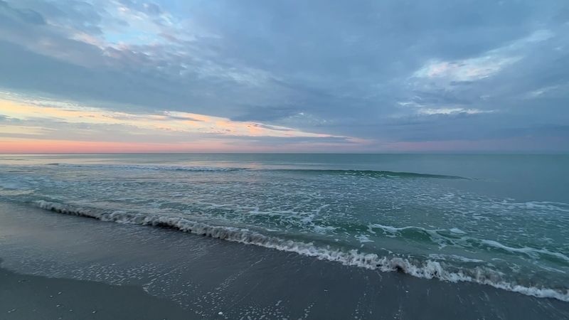 The Mangrove Tunnels Create Natural Exploration Routes