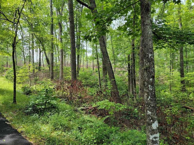 Wildlife Encounters On The Trail