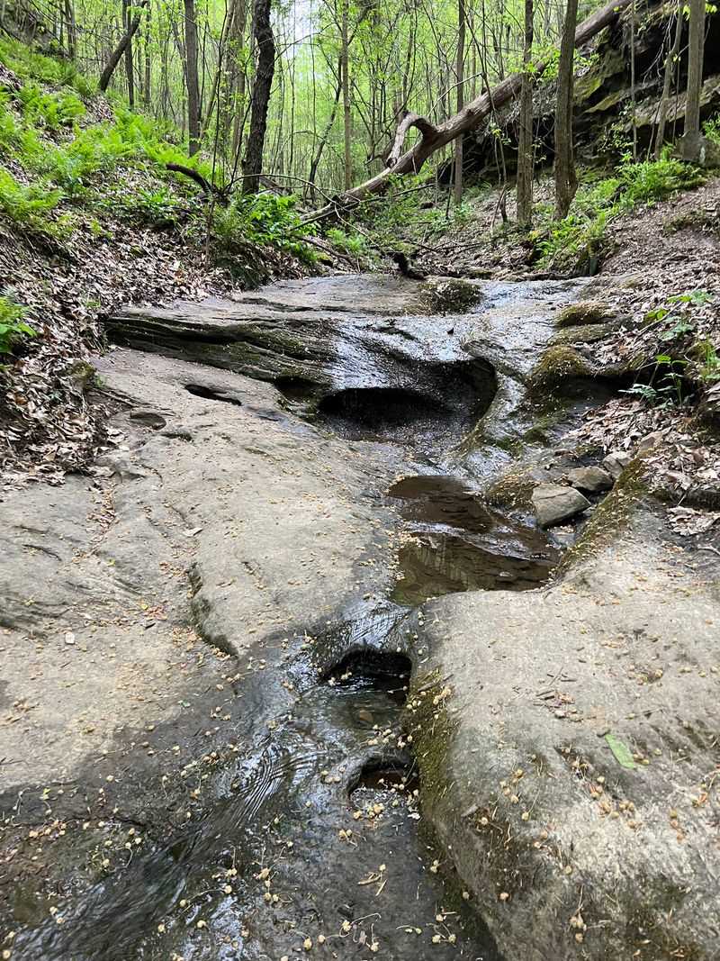 Parking Fills Fast and Trail Markers Demand Your Attention