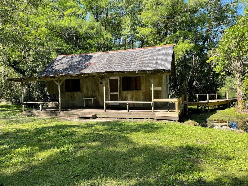The Famous Fakahatchee Hilton and Its Gator Neighbors