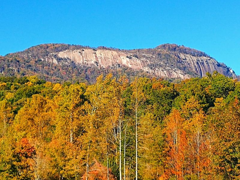 Fall Foliage That Transforms the Entire Park