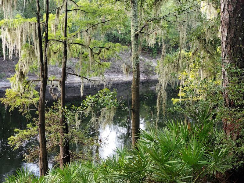 Wildlife Encounters That Will Stop You In Your Tracks Wildlife Encounters That Will Stop You In Your Tracks