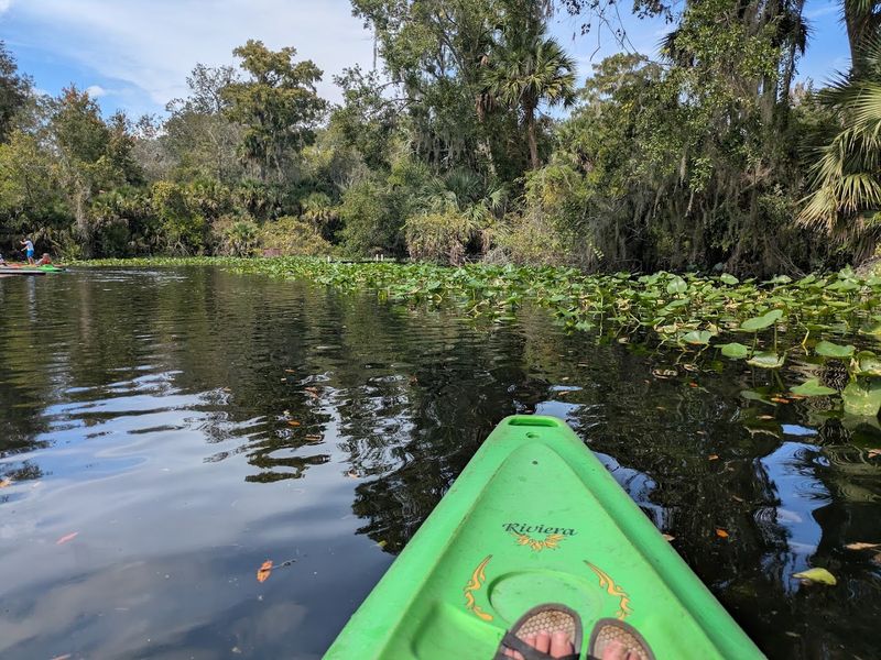 Kayak and Canoe Rentals Right On Site