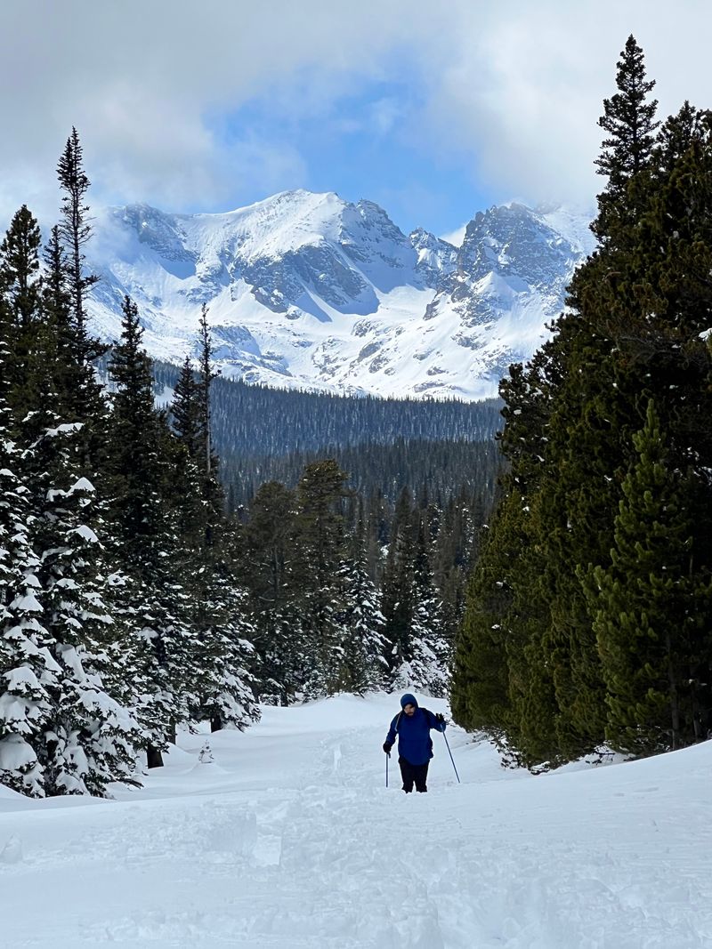 Winter Transforms Everything