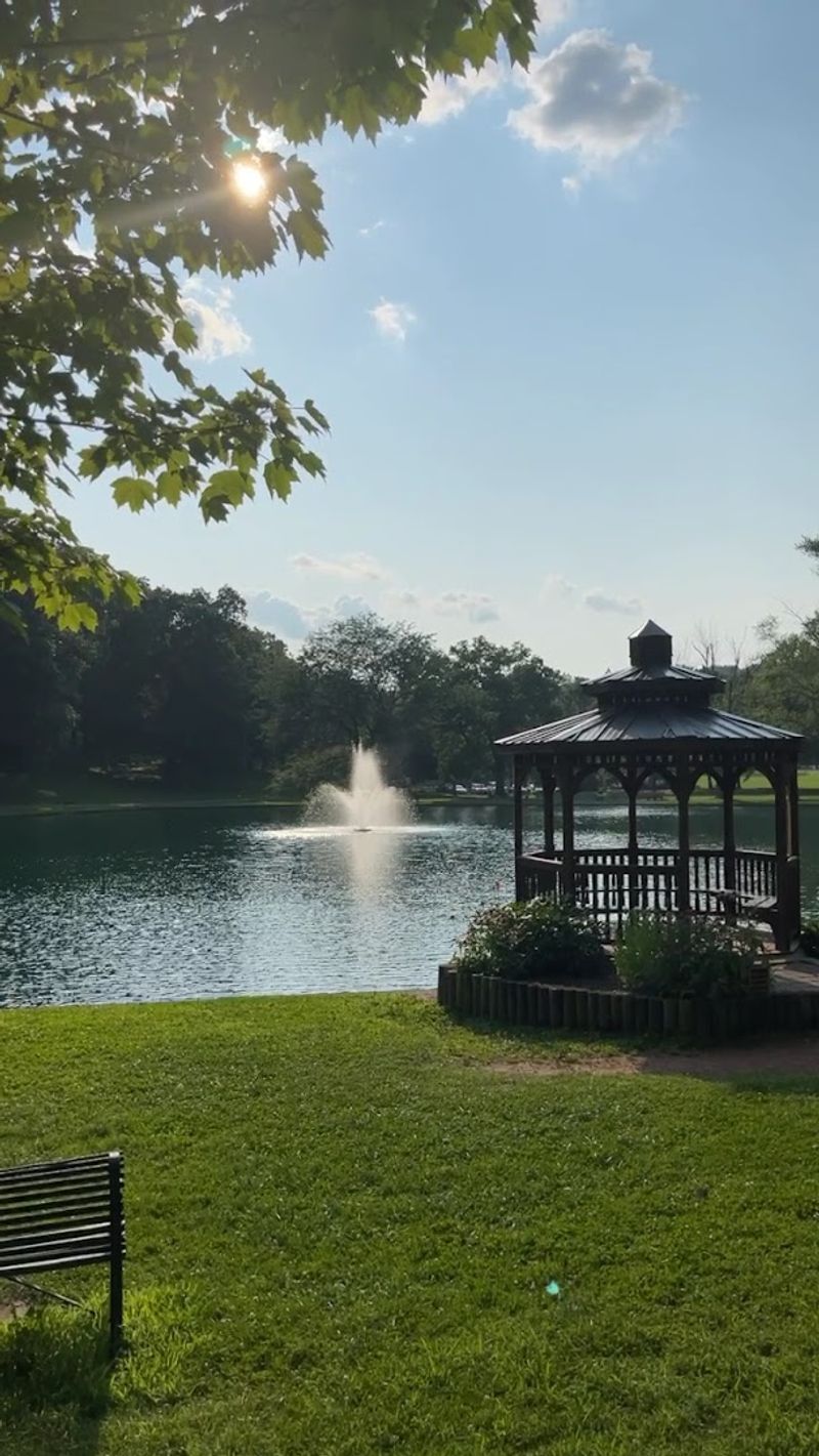 The Fishing Pond: A Calm Corner For Quiet Moments