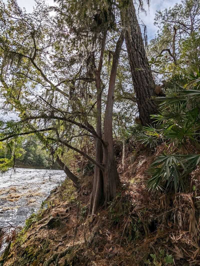 The Surprising Geology Behind The Rapids