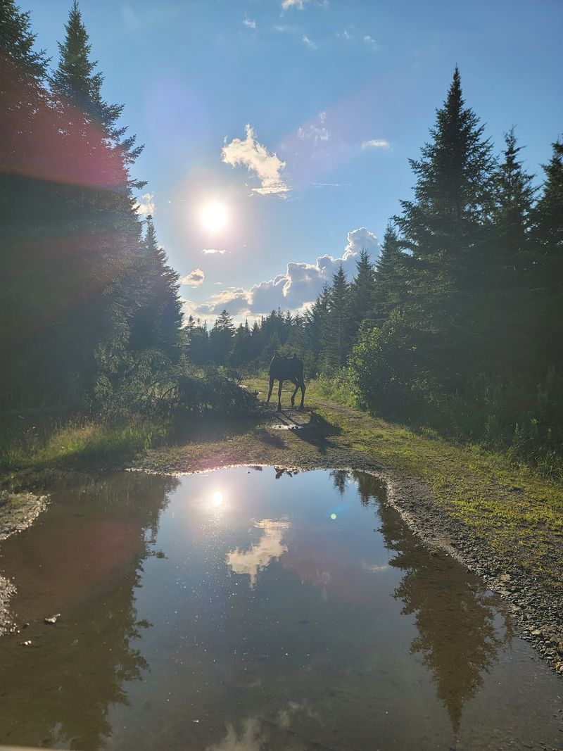 Wildlife Ethics And Learning Come First