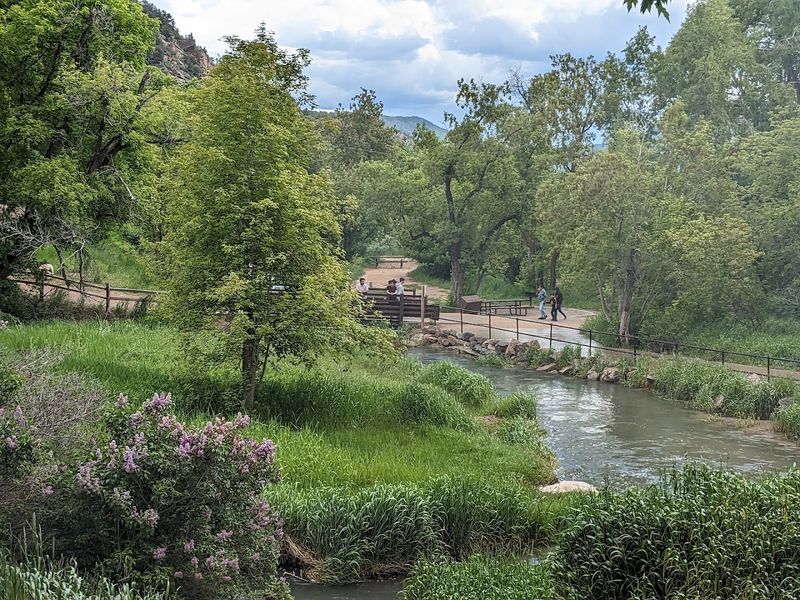 Wildlife, Fishery, and the Quiet Stretch of Highway 325