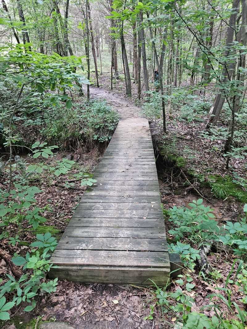 Planning Your Visit: Hours, Costs, and Accessibility