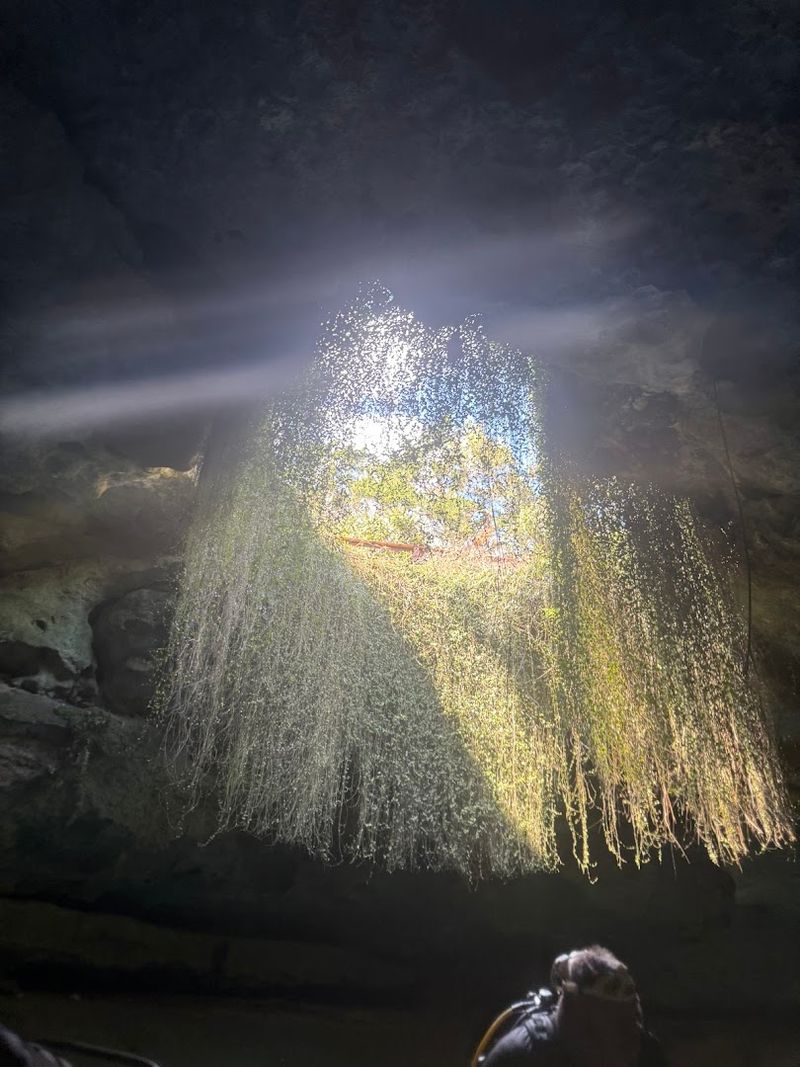 The Magic Hour When Sunlight Hits The Water