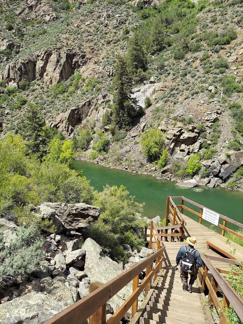 Wildlife, Hiking, and the Pine Creek Trail Wildlife, Hiking, and the Pine Creek Trail