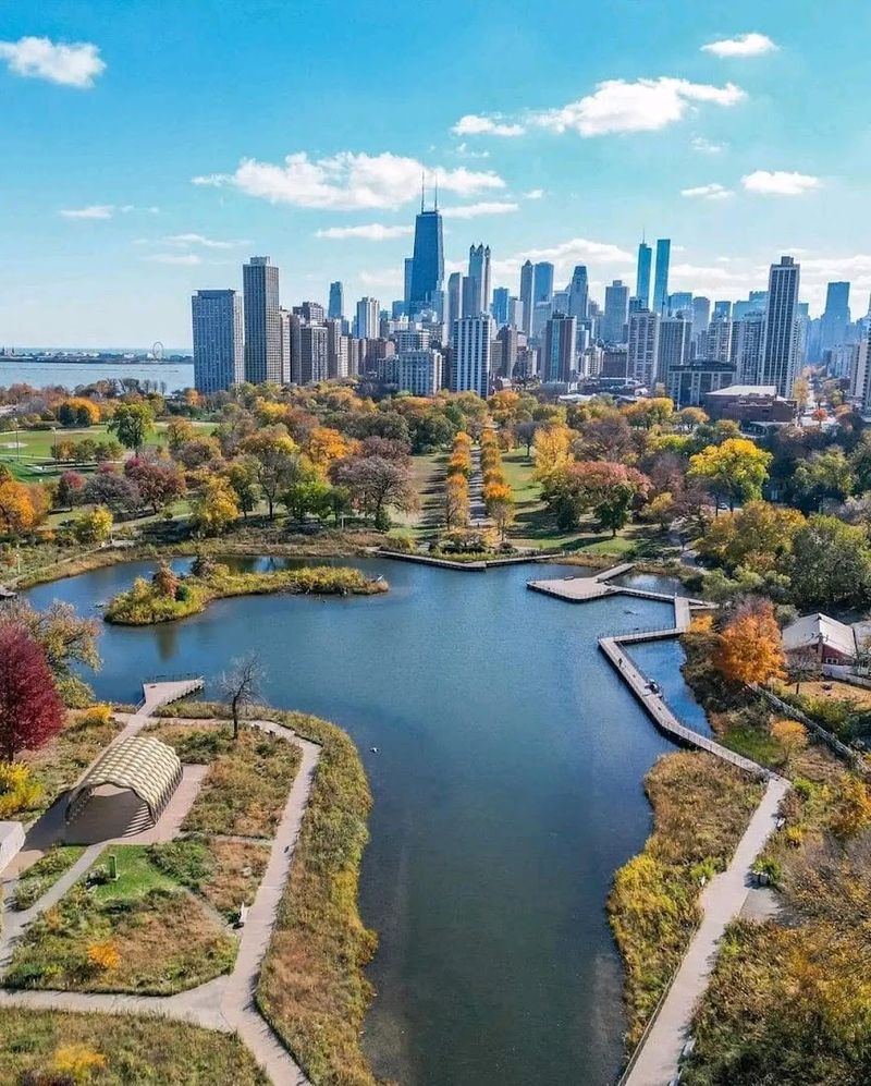 Wildlife In The Heart Of Lincoln Park