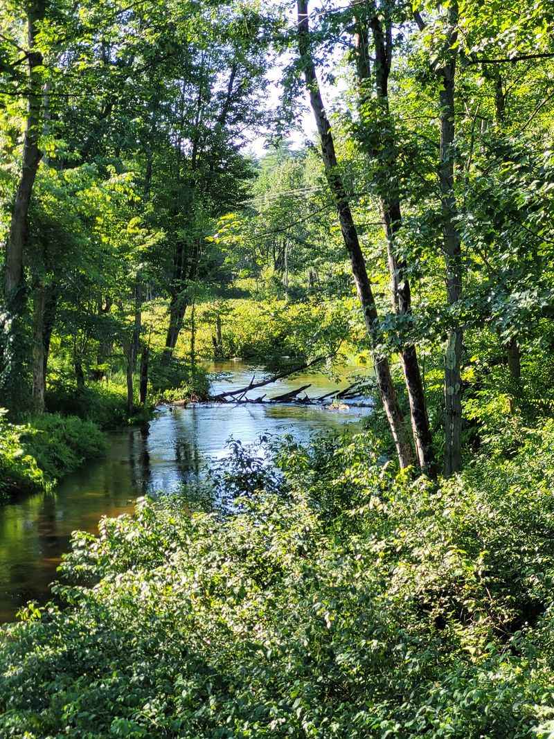 Wildlife, Mushrooms, And Seasonal Scenery