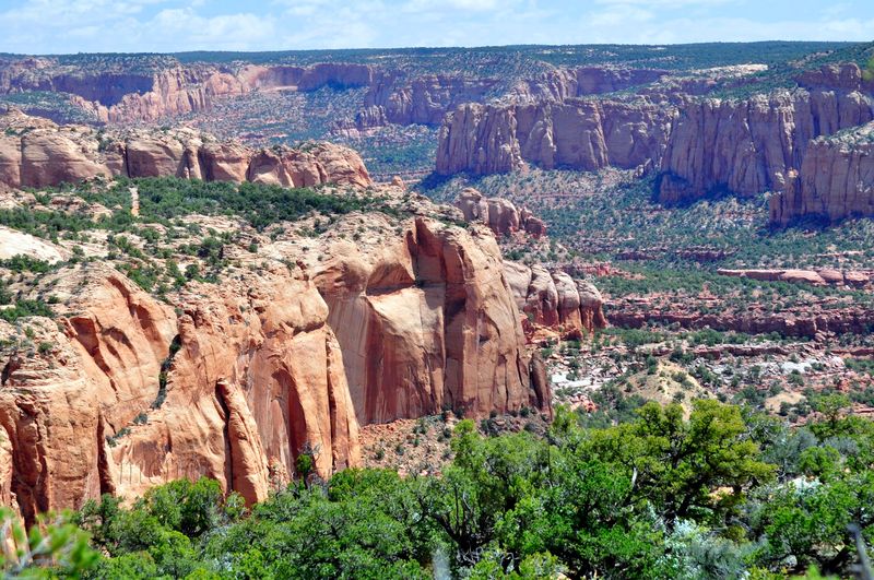 Wildlife, Plants, and Geology Along the Way