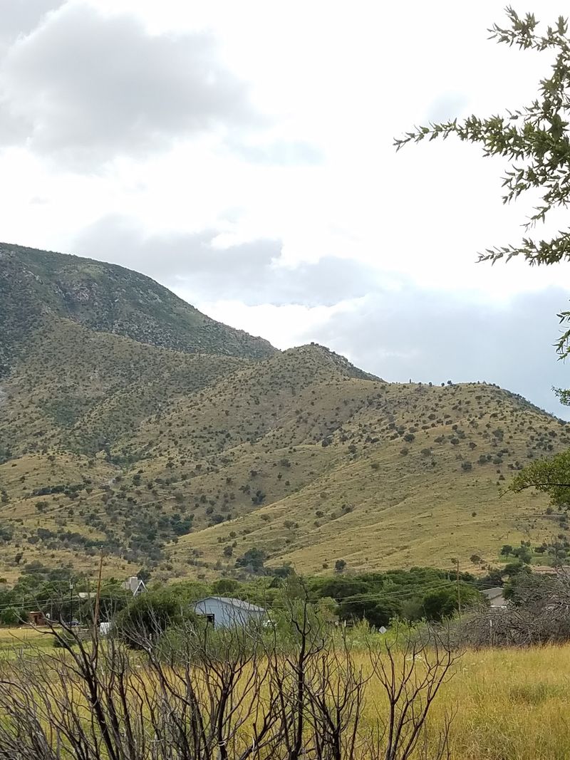 Wildlife Refuges And A Legendary Ranch Nearby Wildlife Refuges And A Legendary Ranch Nearby