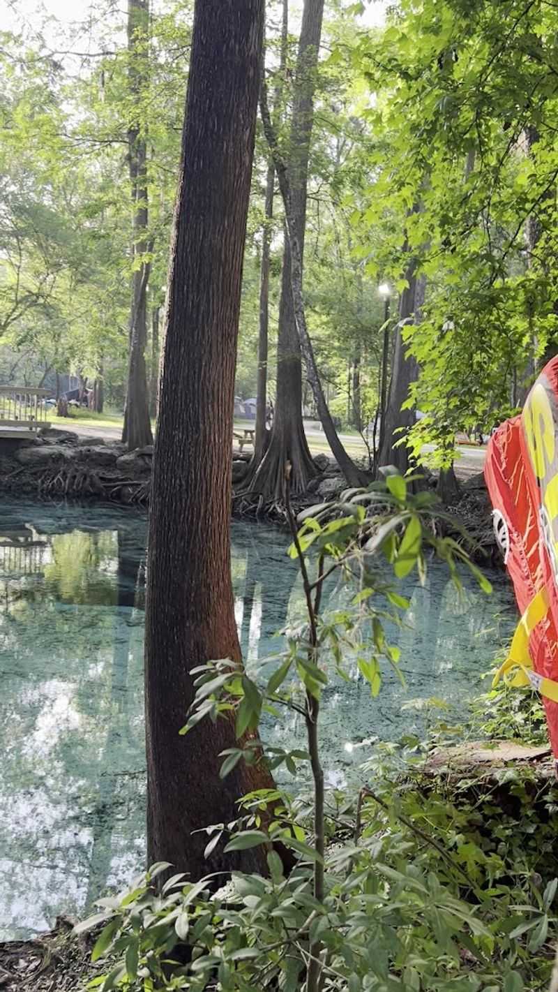 Wildlife Sightings Add A Layer Of Natural Wonder To Every Visit