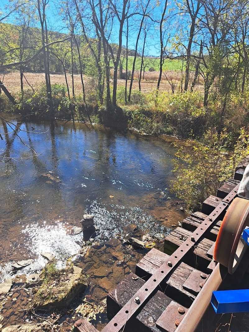 Wildlife Sightings Add A Spontaneous Element To Every Ride