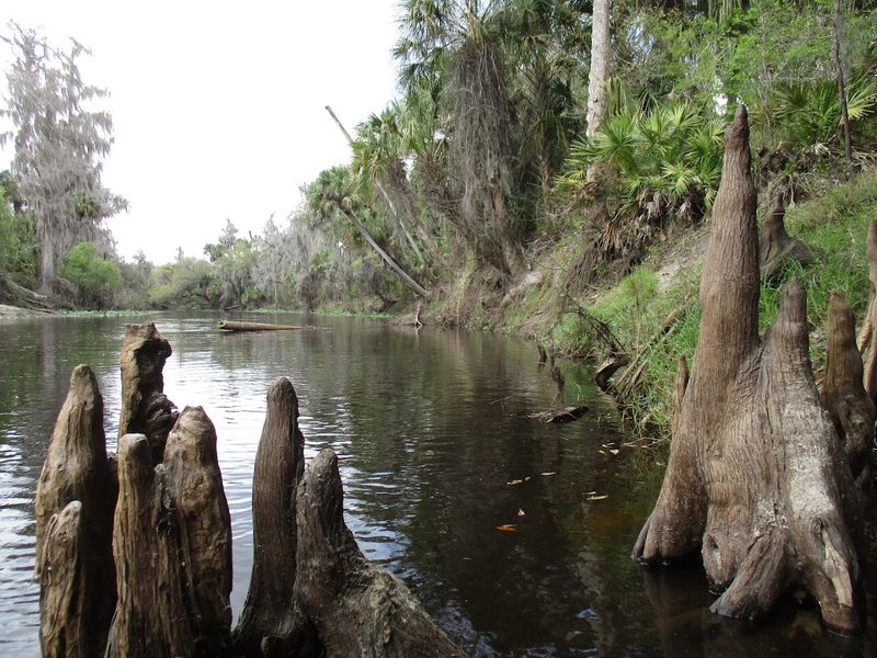 Camping Along The River Turns A Day Trip Into A Full Adventure