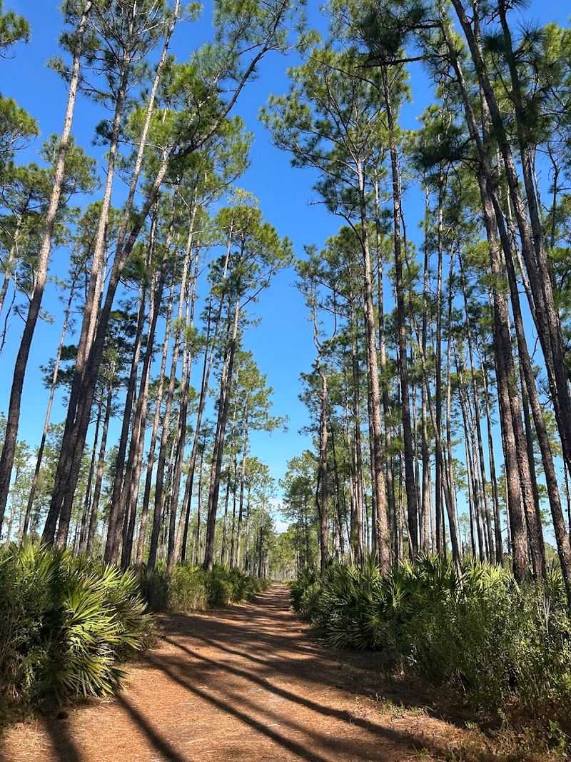 The Park Is Pet-Friendly And Family-Oriented