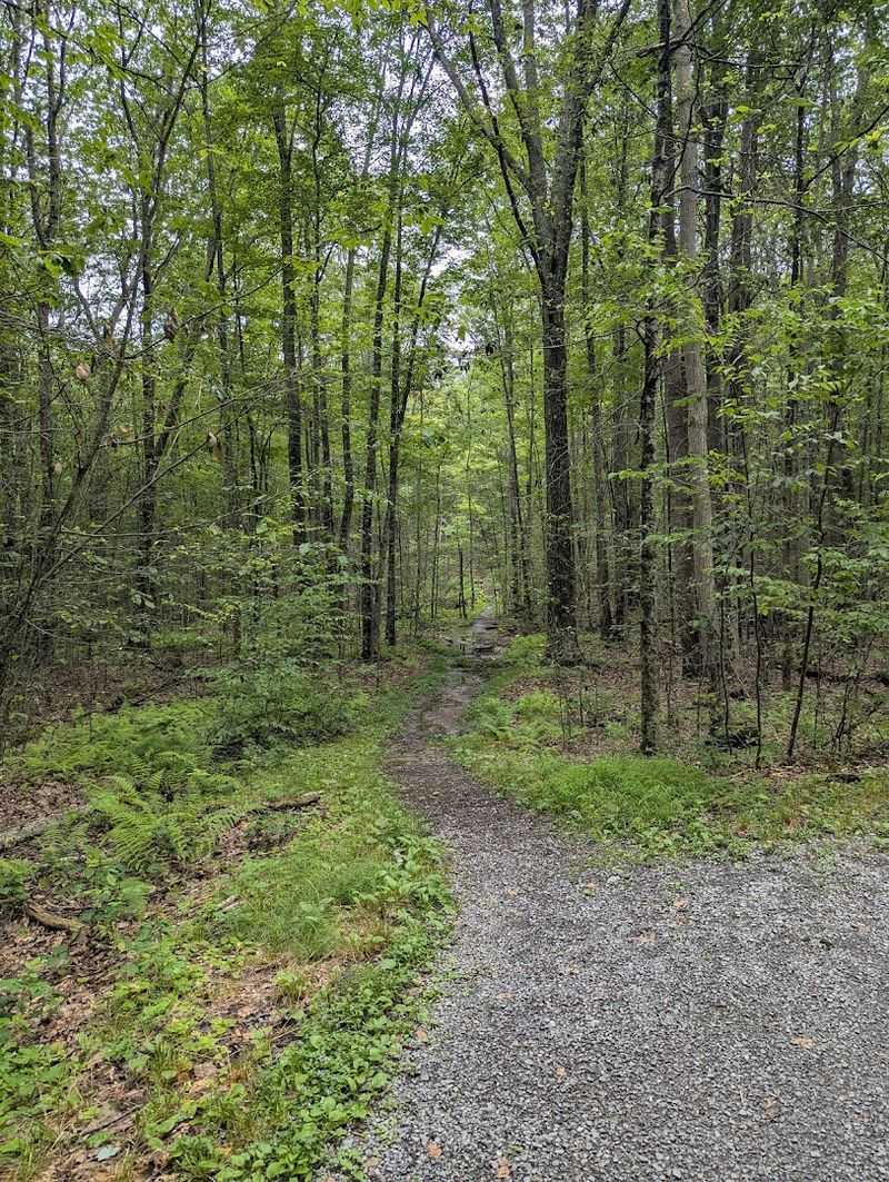 Wildlife Sightings Are Common Along The Path