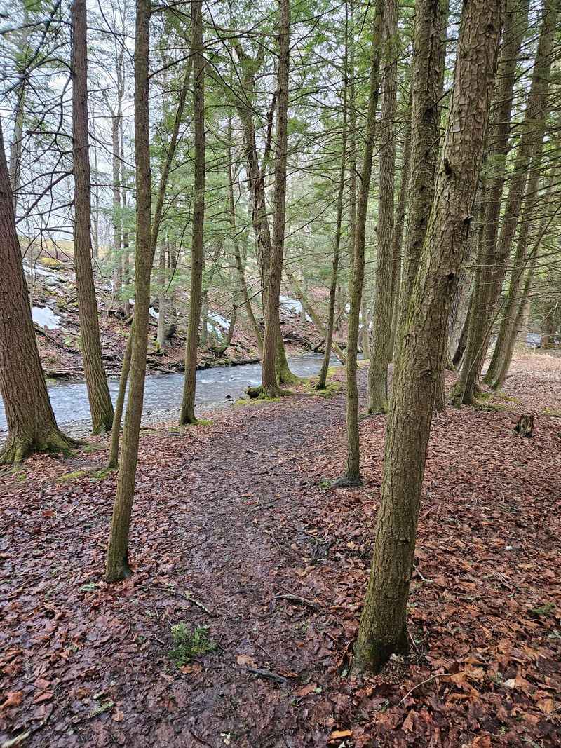 Wildlife Sightings Are Common Along The Trails And Near The Creek
