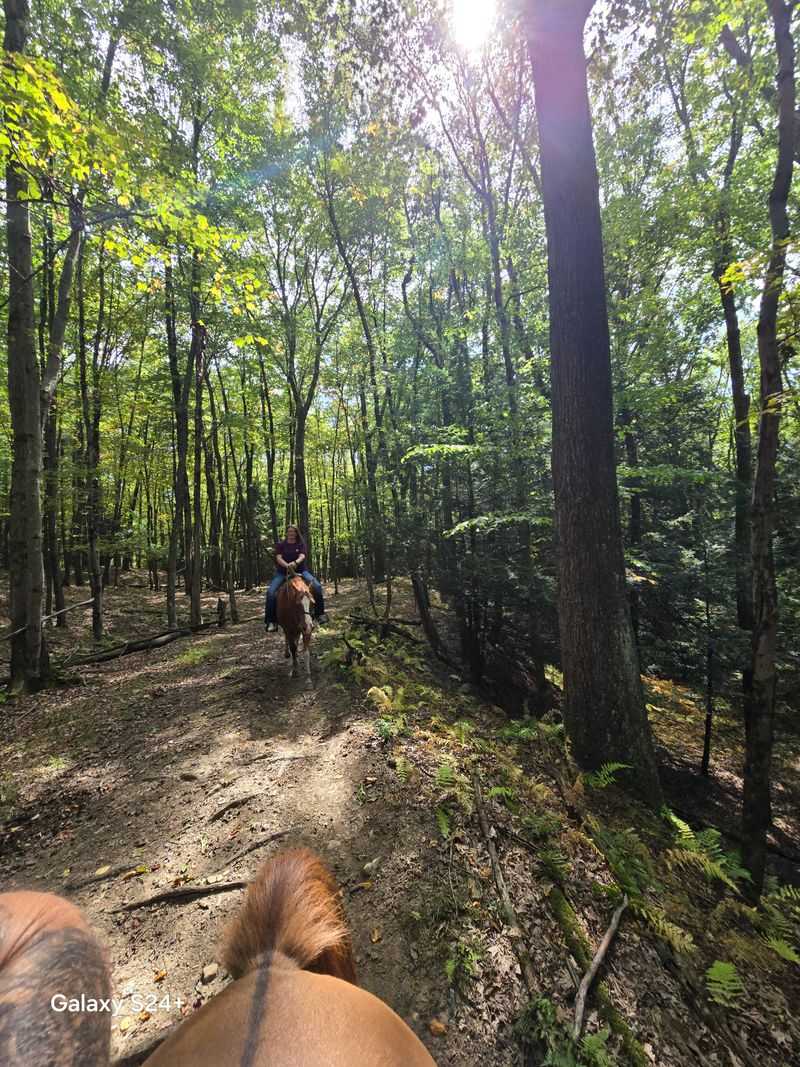 The Scenery Rivals Anything Else in Pennsylvania