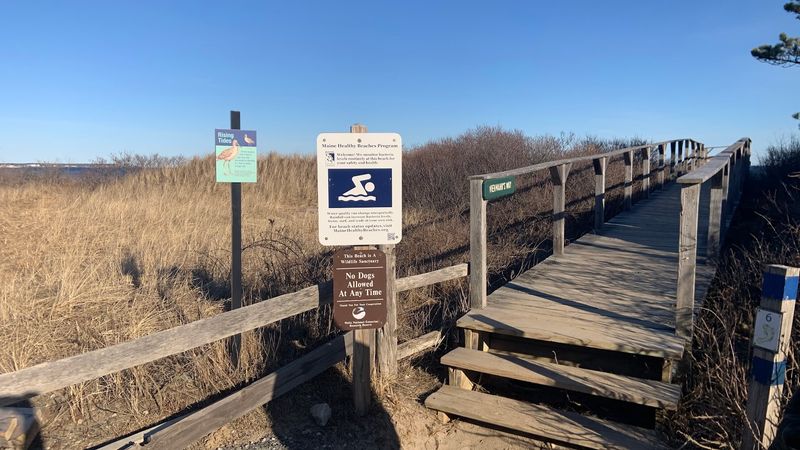 The Trail To The Beach Is Half The Fun