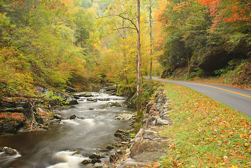 Quiet Solitude Is Still Possible On This Trail