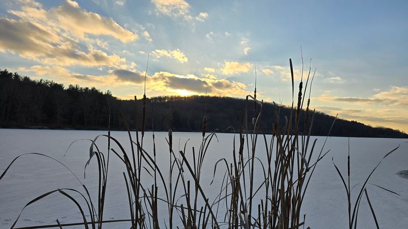 Four Seasons, Four Completely Different Experiences