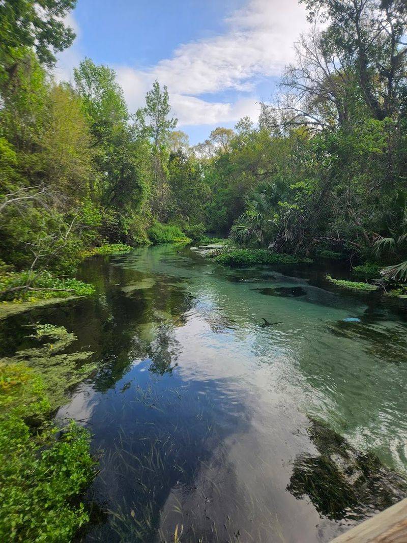 Arriving Early Is Practically A Requirement On Weekends