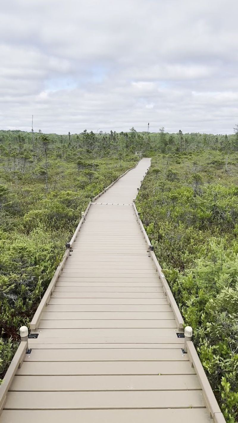 A Free Trail That Is Welcoming For All Ages And Abilities