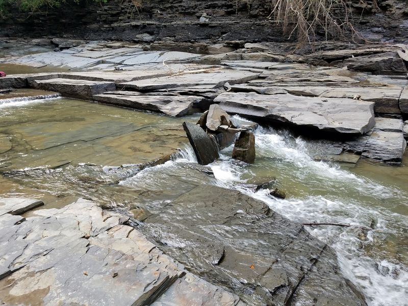 Wildlife Sightings That Surprise You Mid-Step Wildlife Sightings That Surprise You Mid-Step